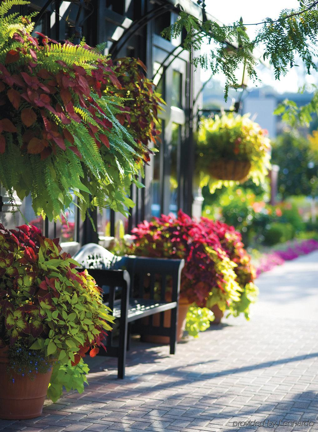 Blennerhassett Hotel Parkersburg Dış mekan fotoğraf
